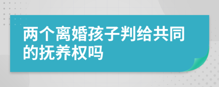 两个离婚孩子判给共同的抚养权吗