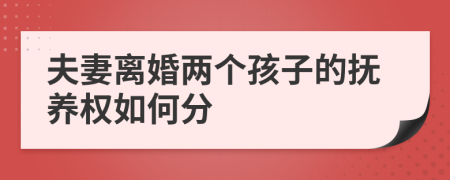 夫妻离婚两个孩子的抚养权如何分