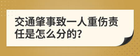 交通肇事致一人重伤责任是怎么分的？