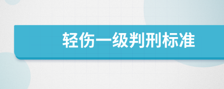 轻伤一级判刑标准