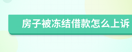 房子被冻结借款怎么上诉