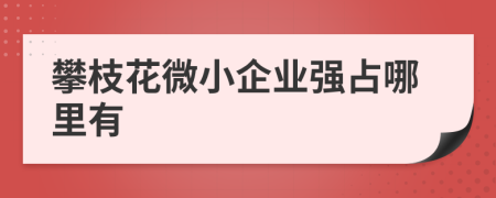 攀枝花微小企业强占哪里有