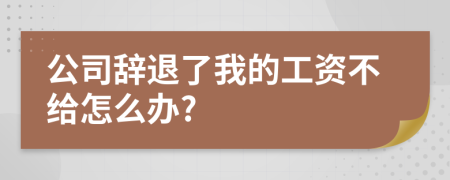 公司辞退了我的工资不给怎么办?