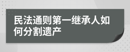 民法通则第一继承人如何分割遗产