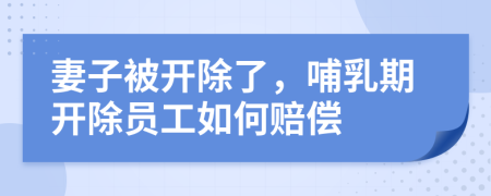 妻子被开除了，哺乳期开除员工如何赔偿