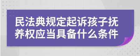 民法典规定起诉孩子抚养权应当具备什么条件