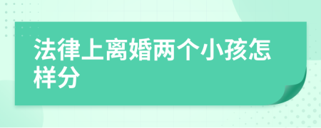法律上离婚两个小孩怎样分