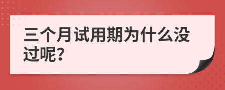 三个月试用期为什么没过呢？