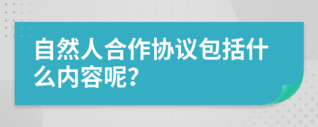 自然人合作协议包括什么内容呢？