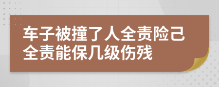 车子被撞了人全责险己全责能保几级伤残