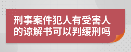 刑事案件犯人有受害人的谅解书可以判缓刑吗