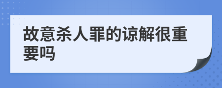 故意杀人罪的谅解很重要吗