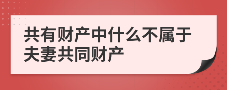 共有财产中什么不属于夫妻共同财产