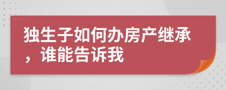 独生子如何办房产继承，谁能告诉我