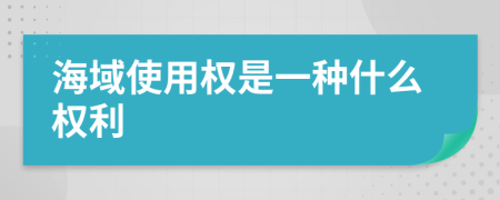 海域使用权是一种什么权利