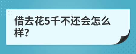 借去花5千不还会怎么样？