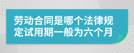 劳动合同是哪个法律规定试用期一般为六个月