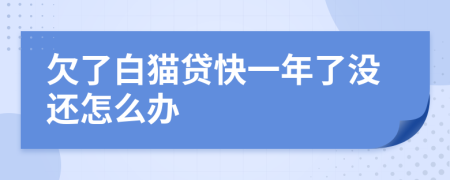 欠了白猫贷快一年了没还怎么办