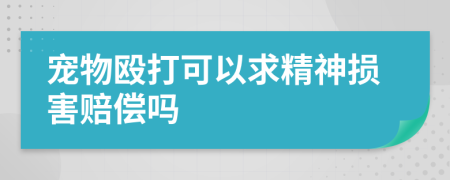 宠物殴打可以求精神损害赔偿吗