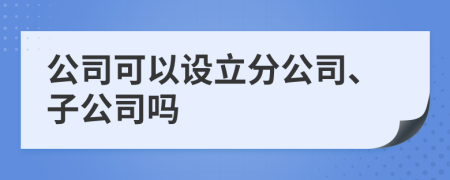 公司可以设立分公司、子公司吗