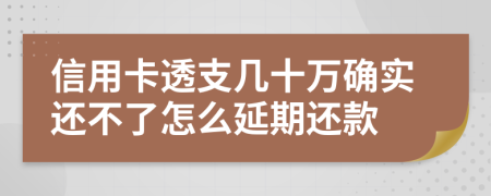 信用卡透支几十万确实还不了怎么延期还款