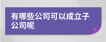 有哪些公司可以成立子公司呢