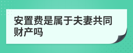 安置费是属于夫妻共同财产吗