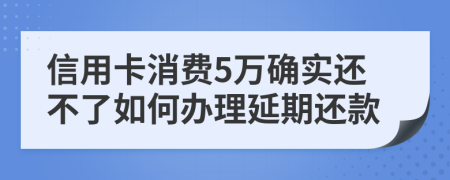 信用卡消费5万确实还不了如何办理延期还款