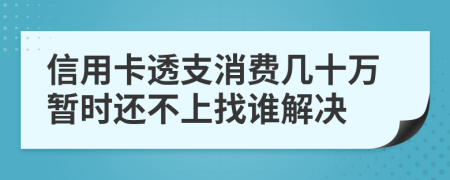 信用卡透支消费几十万暂时还不上找谁解决