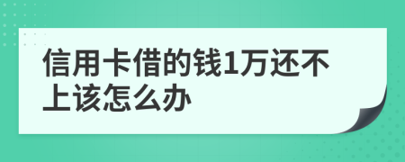 信用卡借的钱1万还不上该怎么办