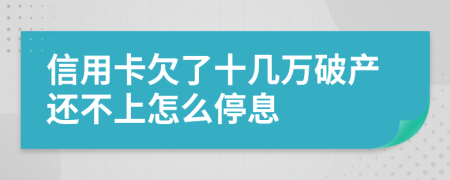 信用卡欠了十几万破产还不上怎么停息