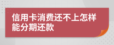 信用卡消费还不上怎样能分期还款