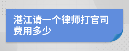 湛江请一个律师打官司费用多少