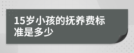 15岁小孩的抚养费标准是多少