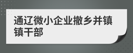 通辽微小企业撤乡并镇镇干部