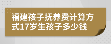 福建孩子抚养费计算方式17岁生孩子多少钱