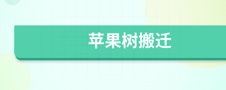 苹果树搬迁