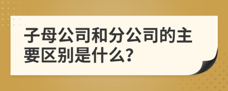 子母公司和分公司的主要区别是什么？