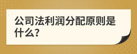 公司法利润分配原则是什么？