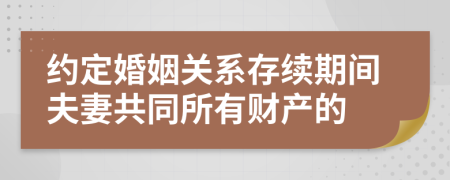 约定婚姻关系存续期间夫妻共同所有财产的