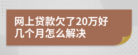 网上贷款欠了20万好几个月怎么解决