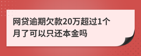 网贷逾期欠款20万超过1个月了可以只还本金吗