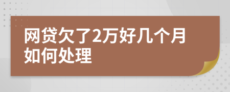 网贷欠了2万好几个月如何处理