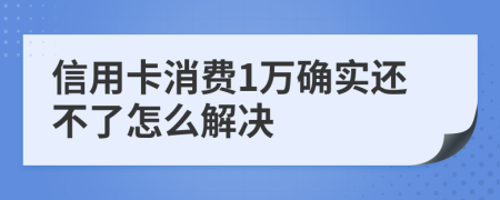 信用卡消费1万确实还不了怎么解决
