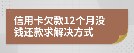 信用卡欠款12个月没钱还款求解决方式