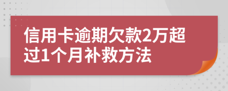 信用卡逾期欠款2万超过1个月补救方法