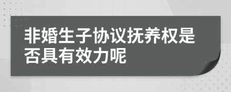 非婚生子协议抚养权是否具有效力呢