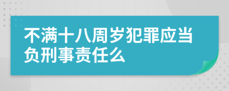 不满十八周岁犯罪应当负刑事责任么