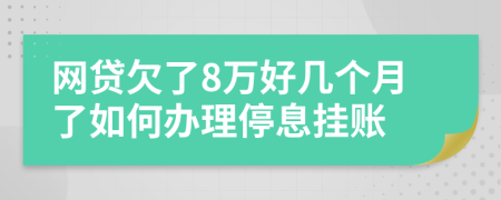 网贷欠了8万好几个月了如何办理停息挂账