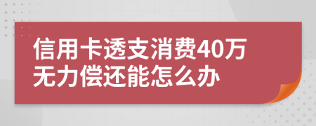 信用卡透支消费40万无力偿还能怎么办